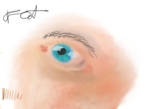gojo's eye